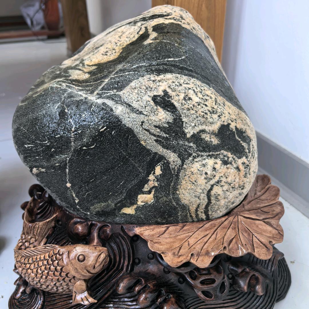鑫翼之星