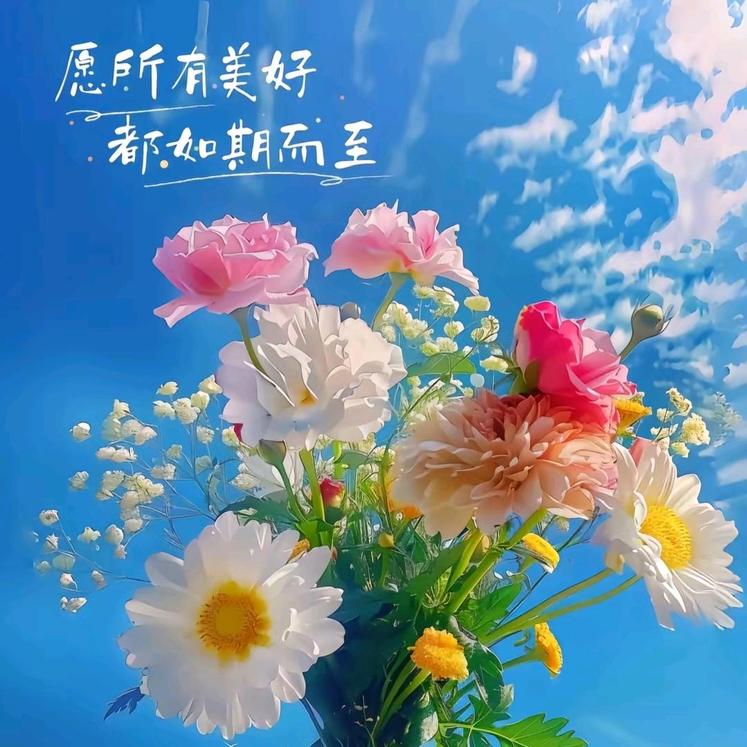 我与春风皆过客，你携秋风揽星河