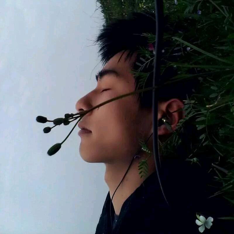 犹笑白云多事在