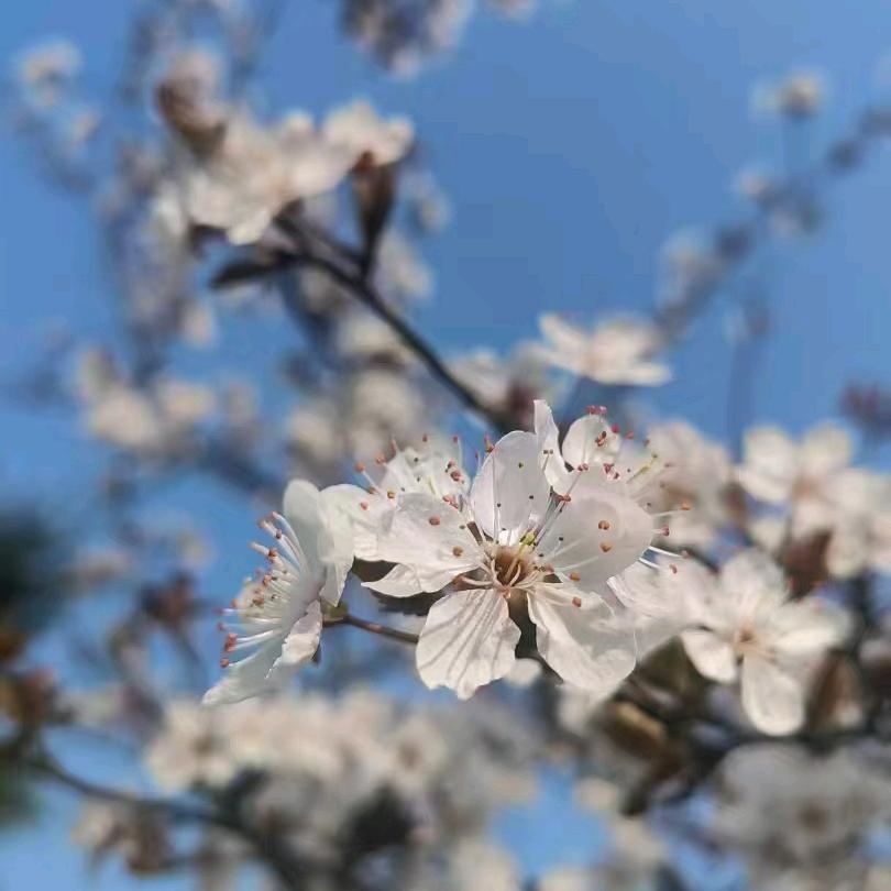 😊遇见是天意，拥有是幸运😊