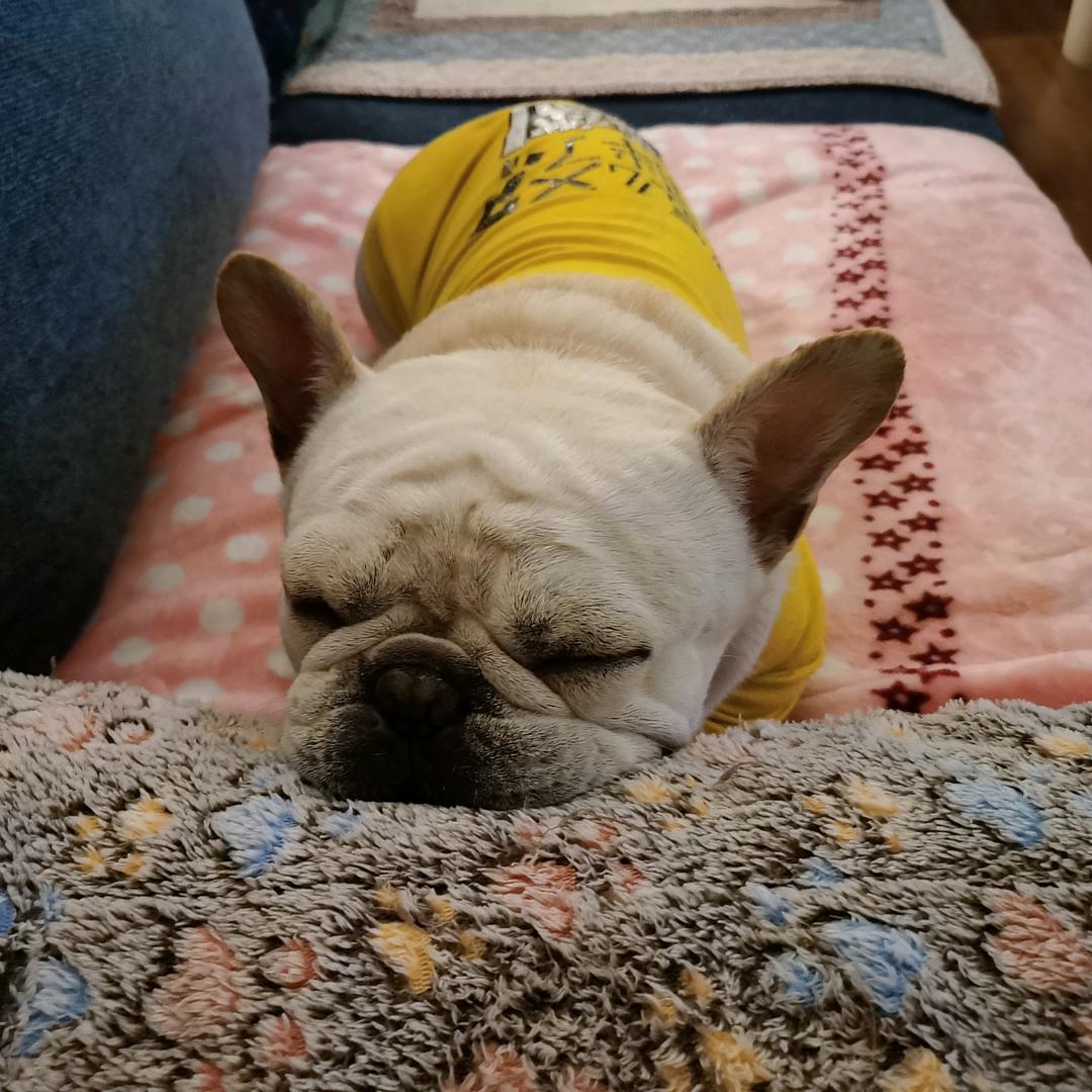 小颖金鑫珠宝(洛阳中州万达广场店)