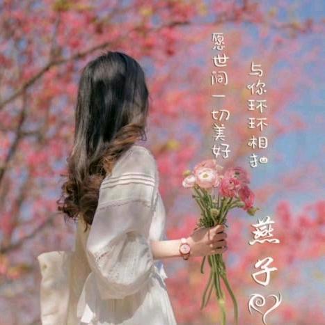 燕舞芬飞