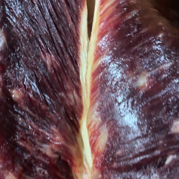 宁波 贵州土黄牛肉 批发零售