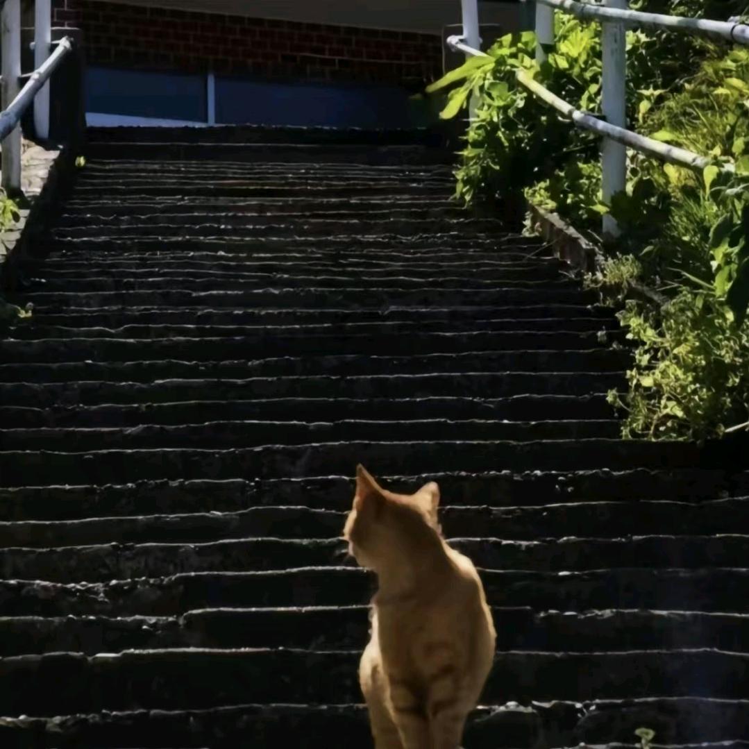 遗失的美好