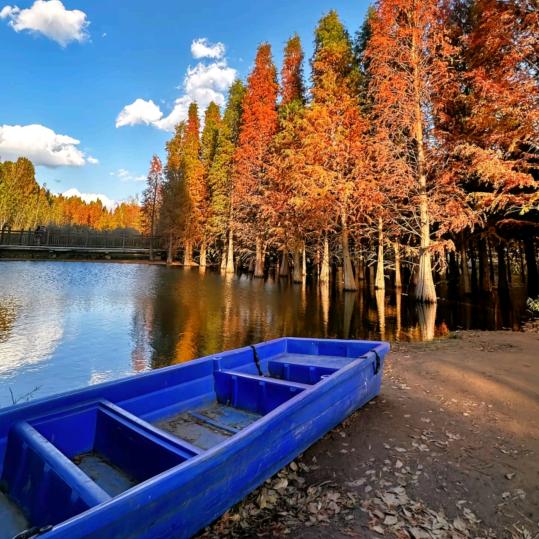 明芪老师说健康