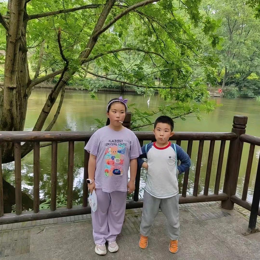 龙龙