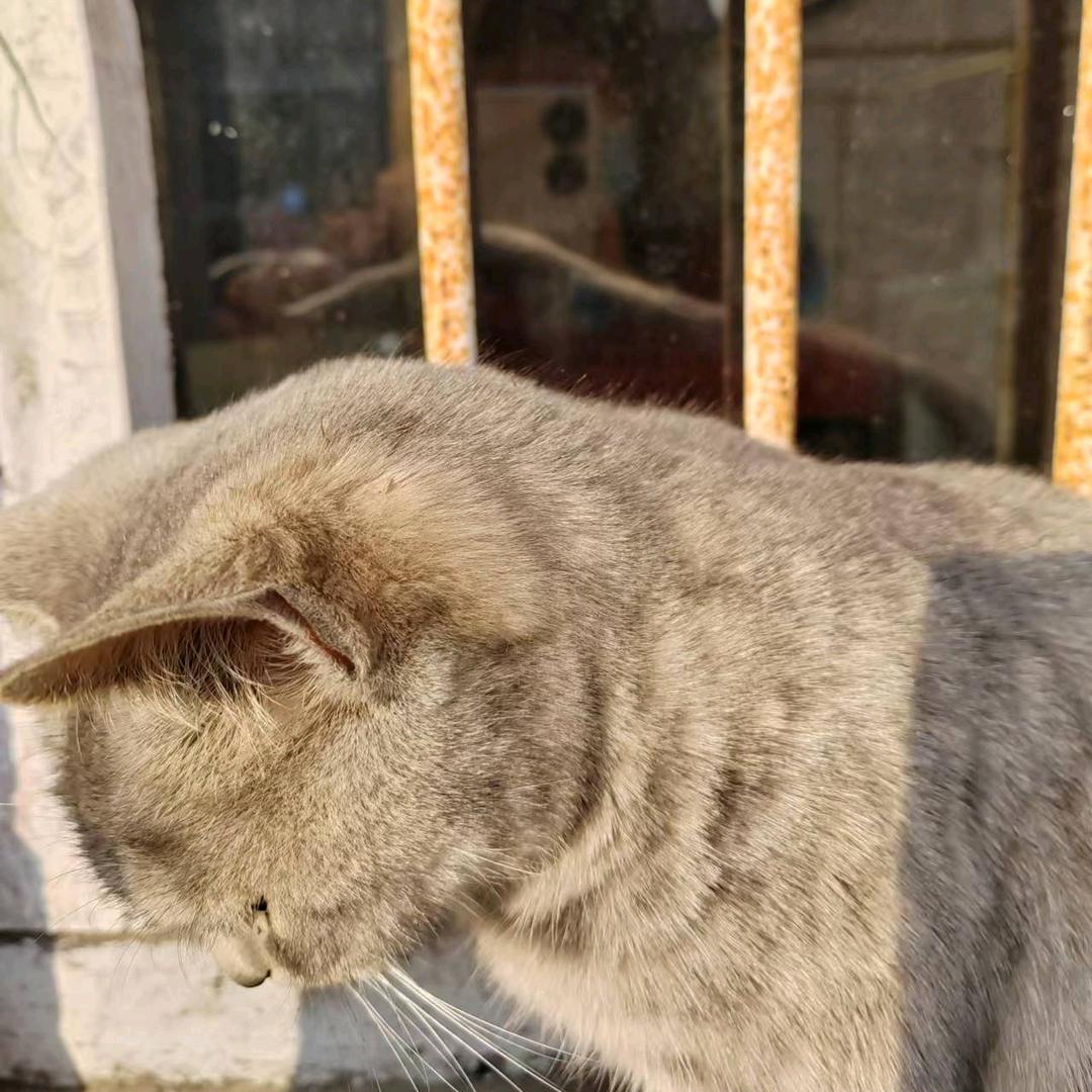 安姐手舞主播播播