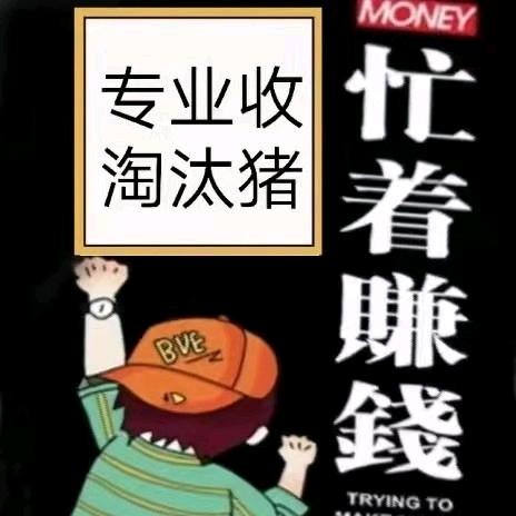 北流收猪佬《专业清栏包场》