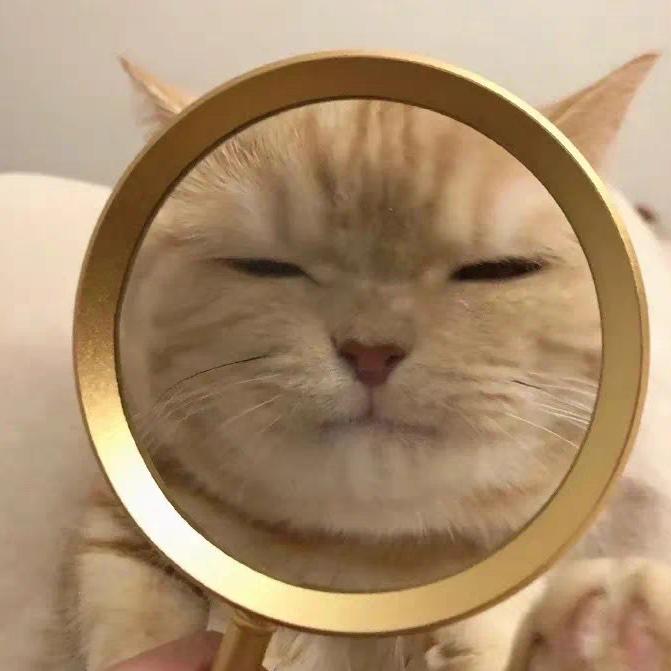 西藏现代小顾问