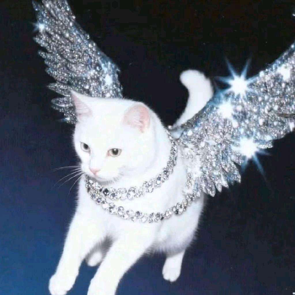 @颖ˣⁱⁿ🕸️