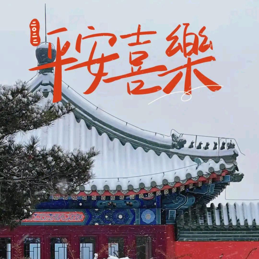 美因桐桐