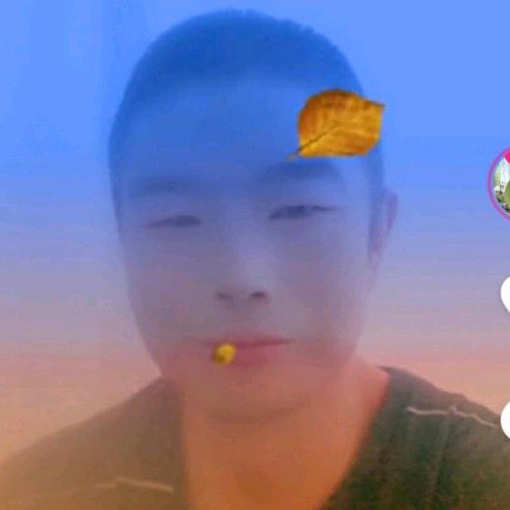 西北红叶