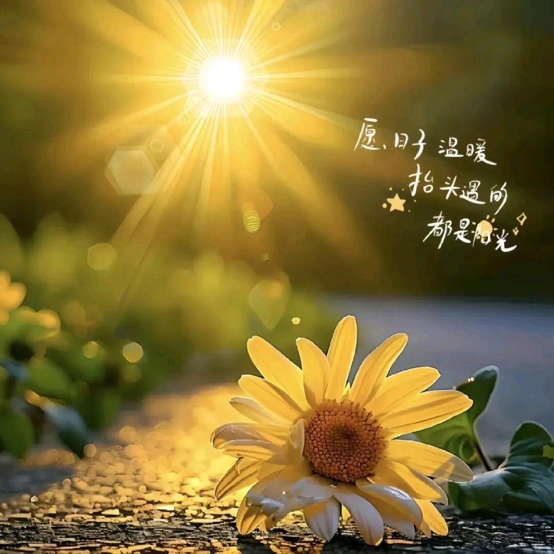 静待花开