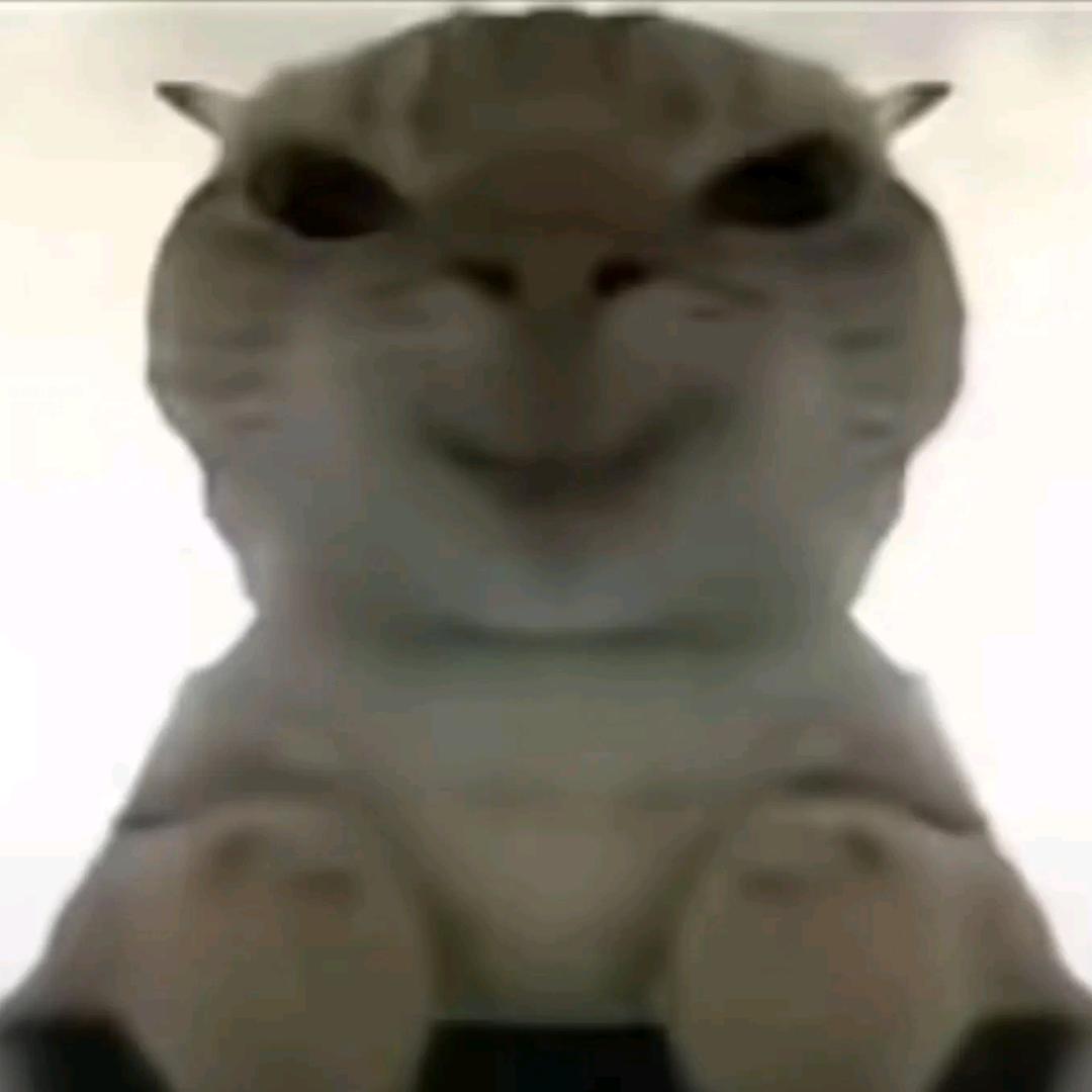 表弟