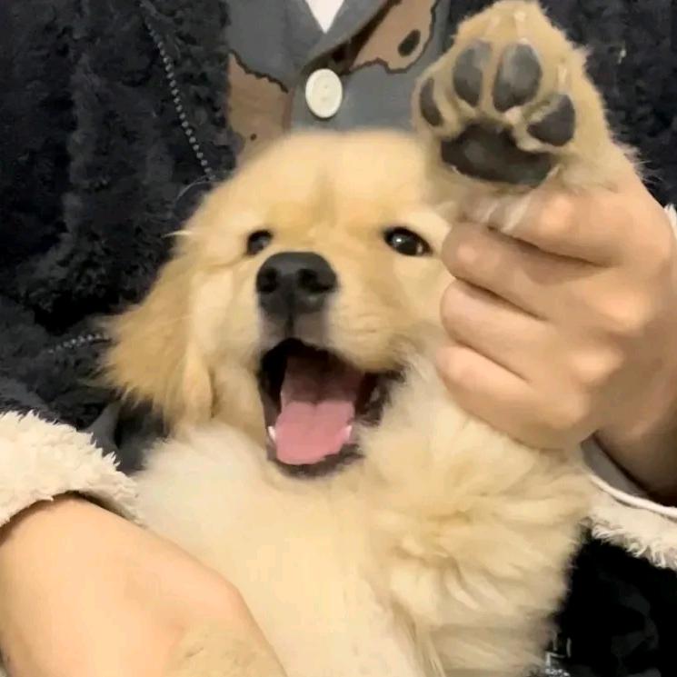 遇见