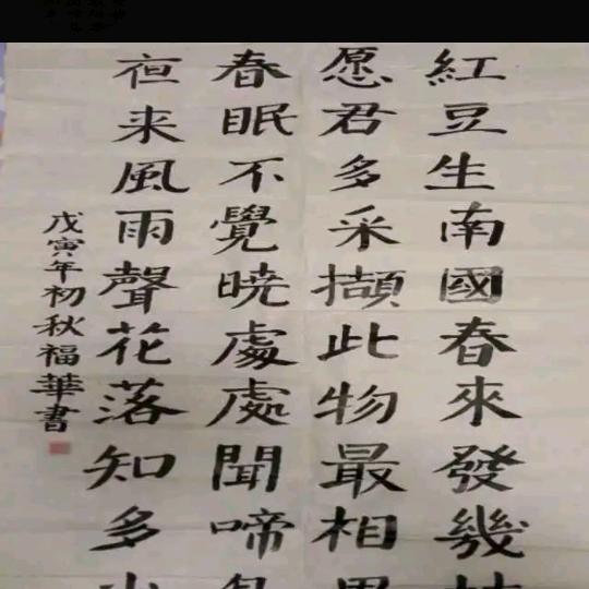选择阳光