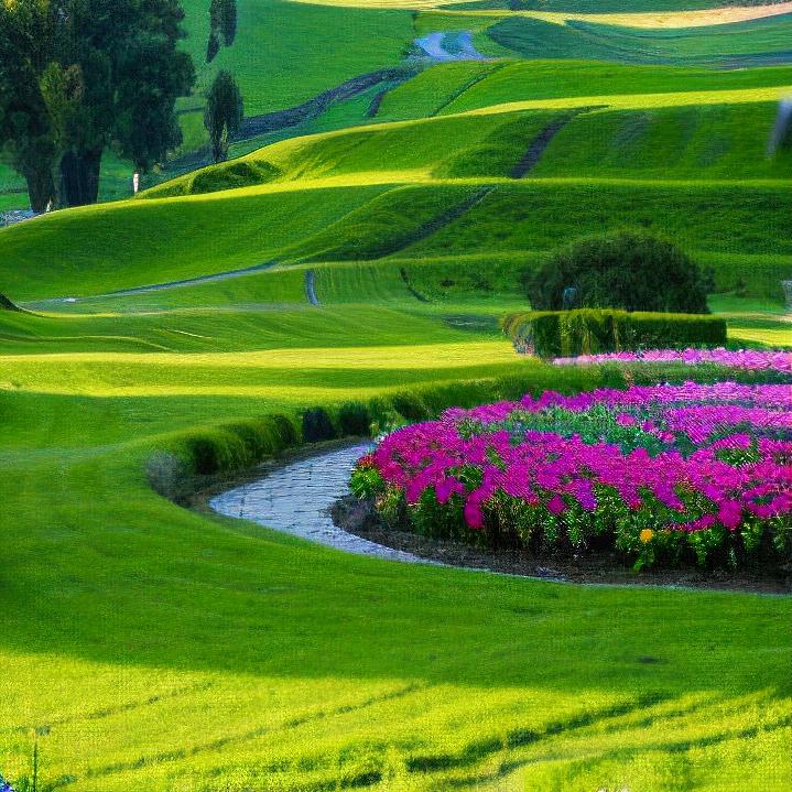 梅子&好眼力拍打操