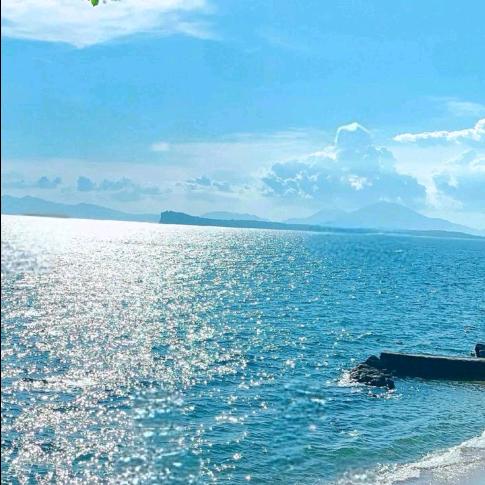 蓝雾与海