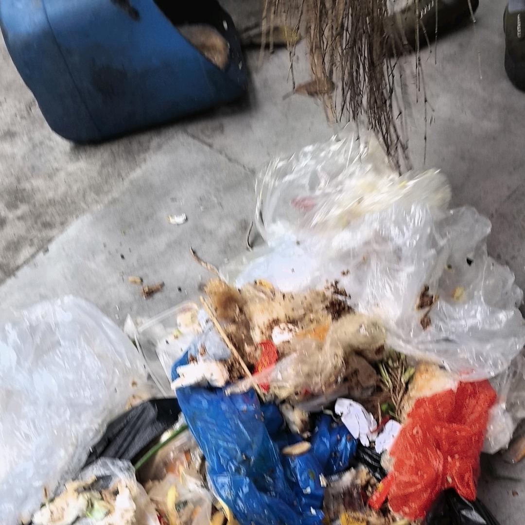 一帆风顺。