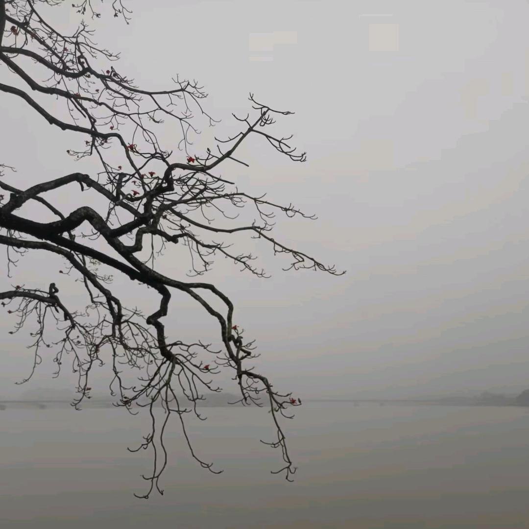 次爱蔡