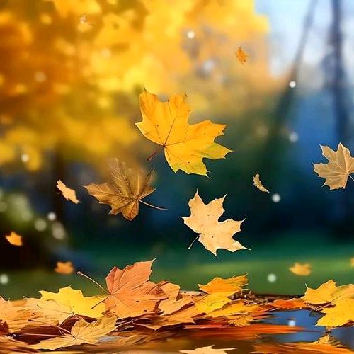 倾心为你（九儿）