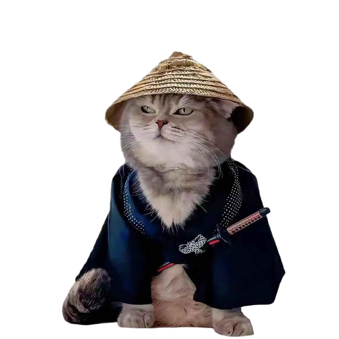 mr的梦