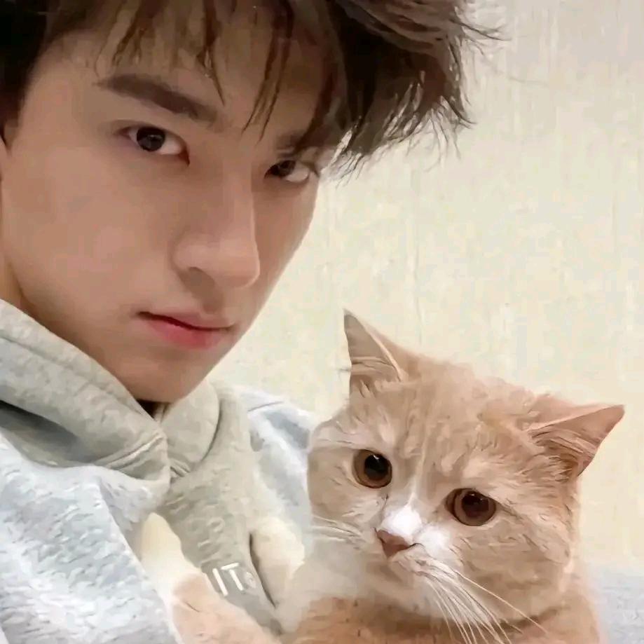 好家伙（顺峰团队）