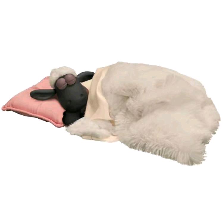眠羊
