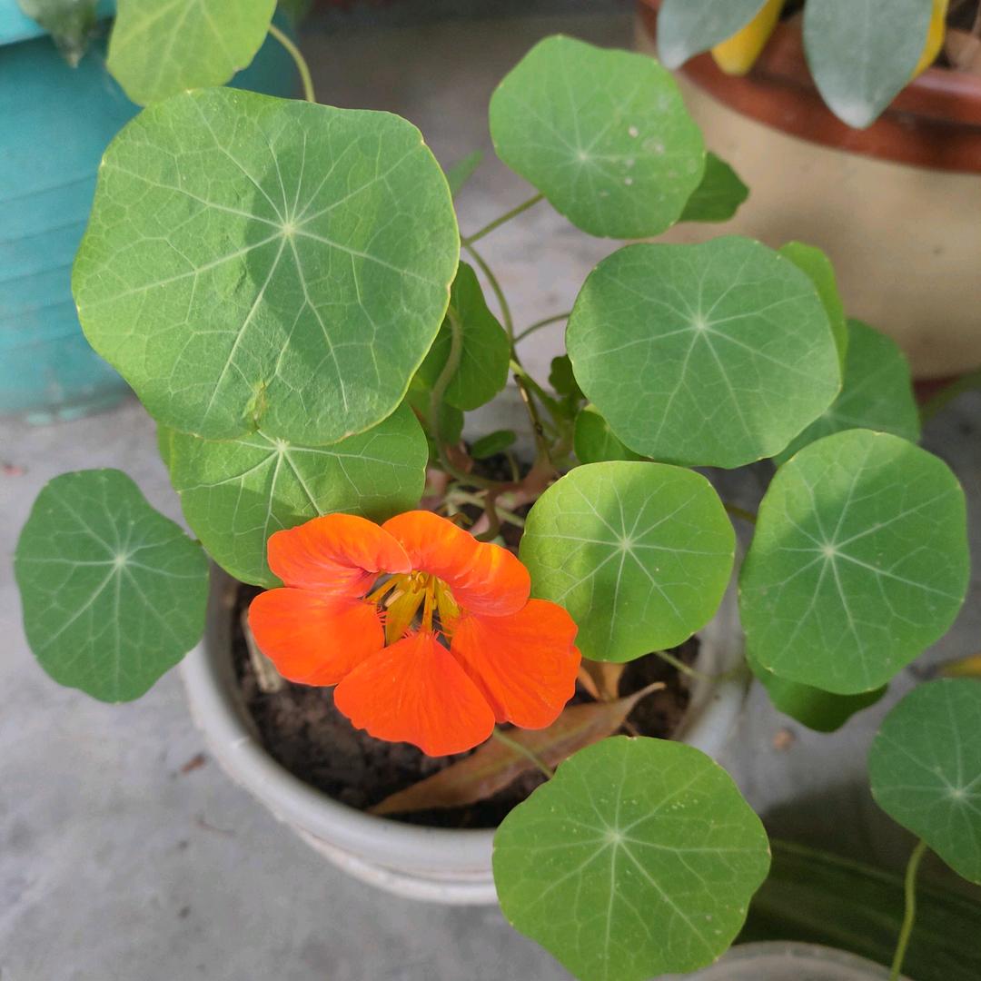 一生有你。