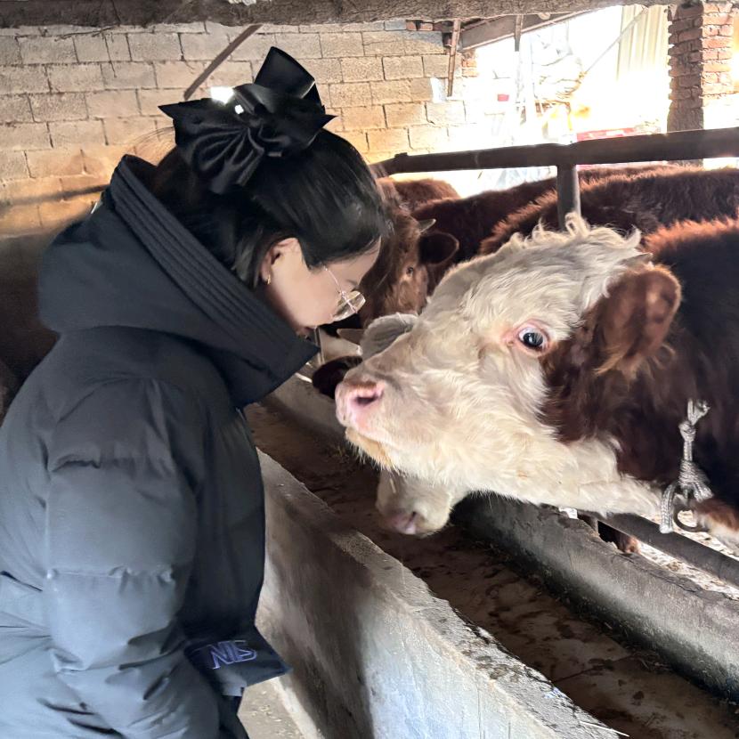 铁扇公主  ˗ˋˏᰔᩚˎˊ˗