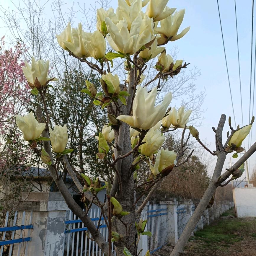 做个俗人