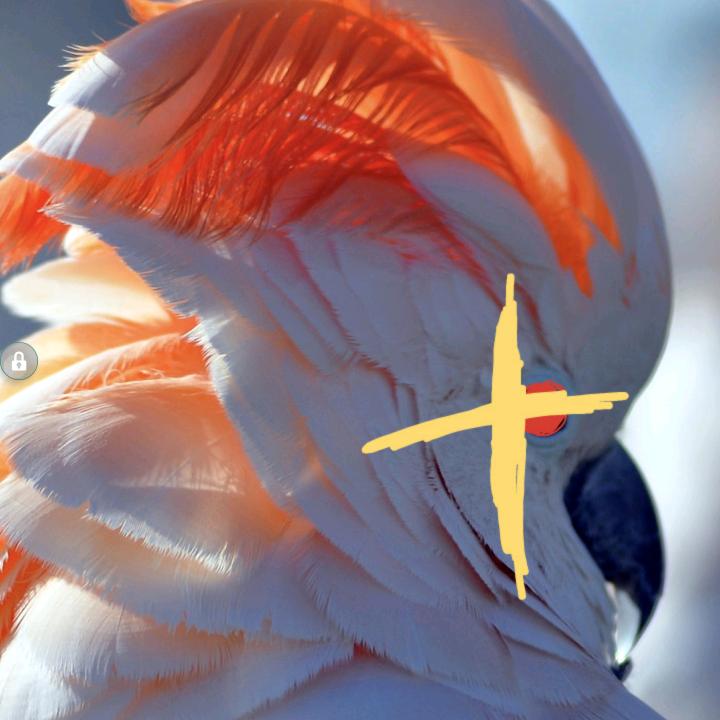 （姓李）富贵