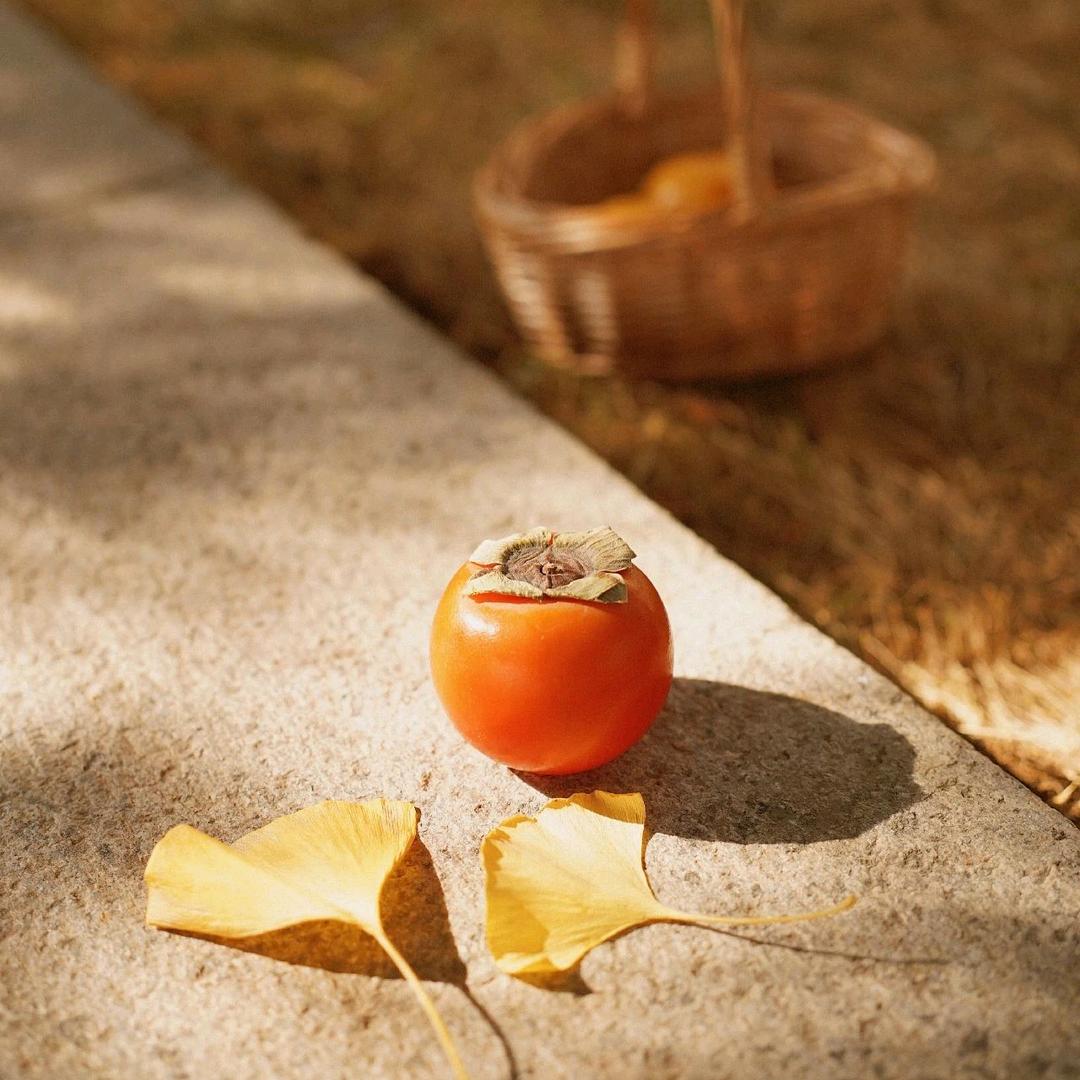 咕叽马🍊