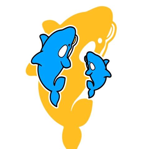 新疆小海豚💧天翔