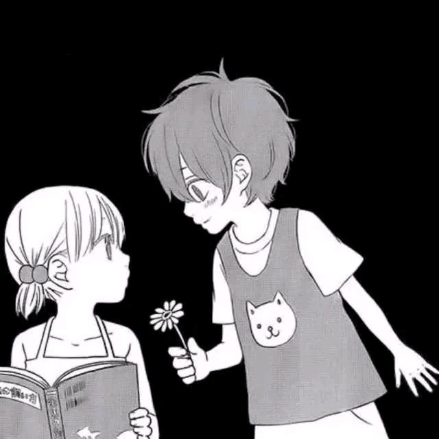 敲边钟的海鸥