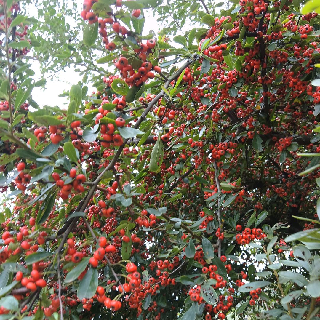 小赵同学