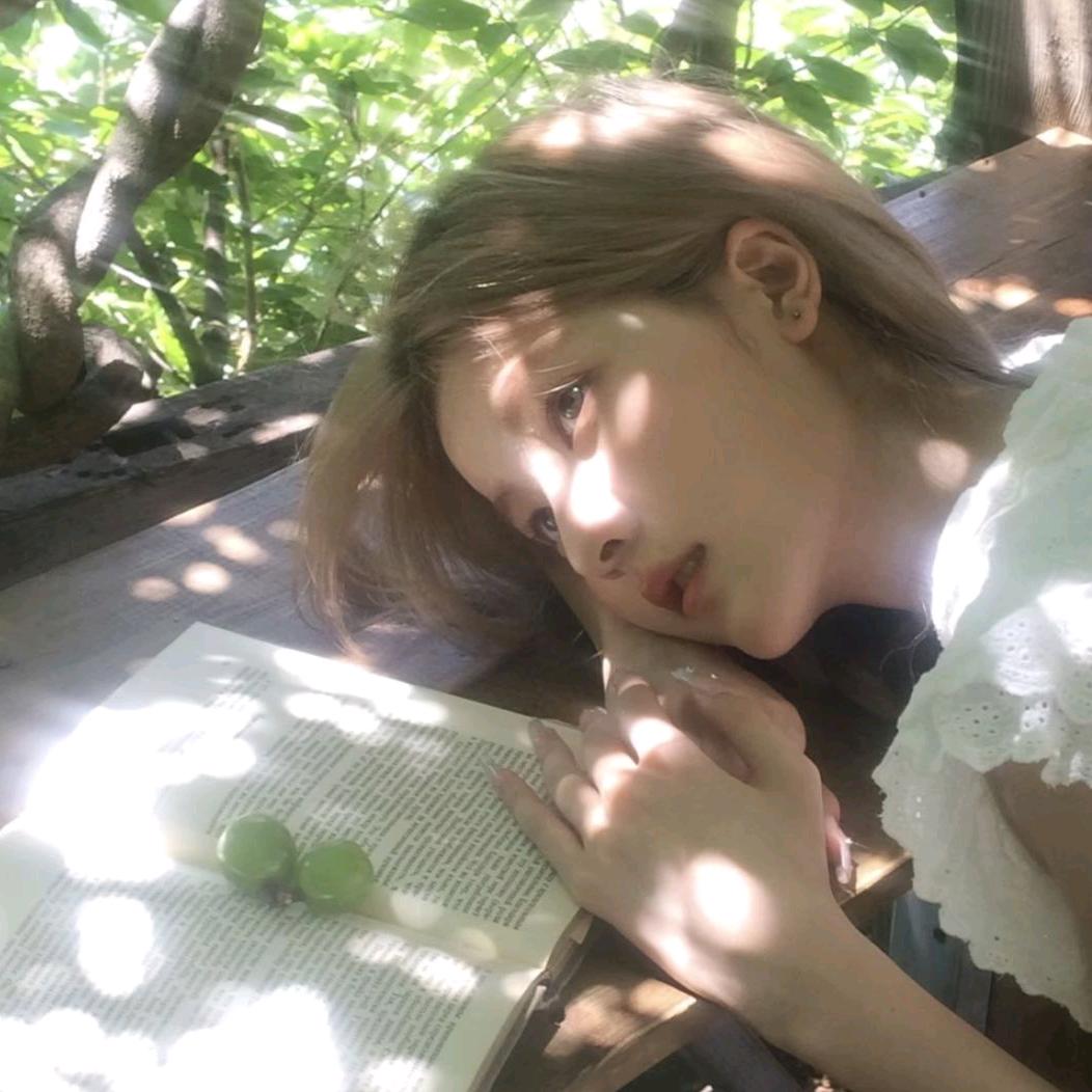 扶老蟑螂过马路被屎壳郎无证驾屎撞飞肆屎米