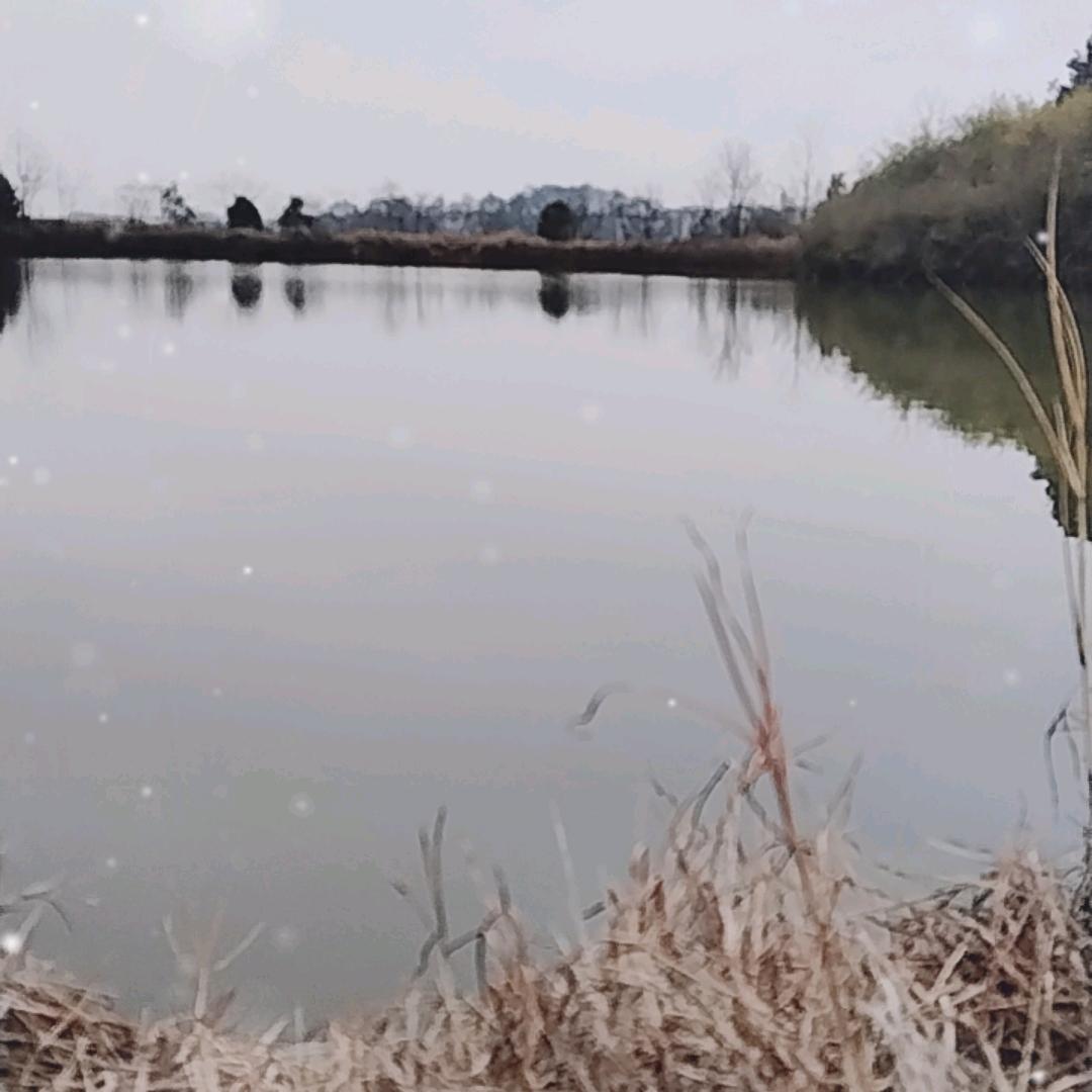 ٩( 'ω' )و 王炸✺◟(∗❛ัᴗ❛