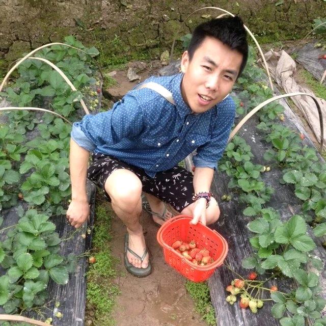 歪货