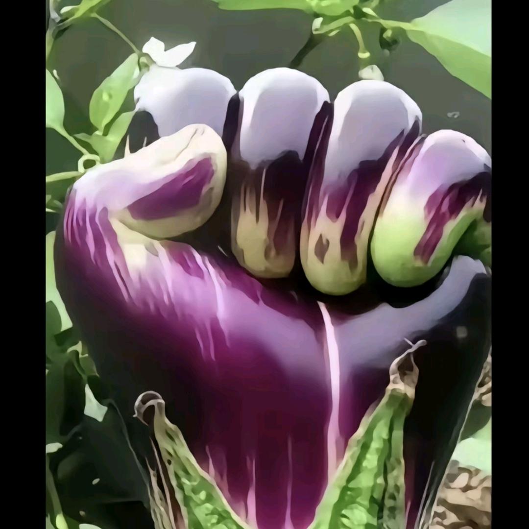 湘妹子在湖北