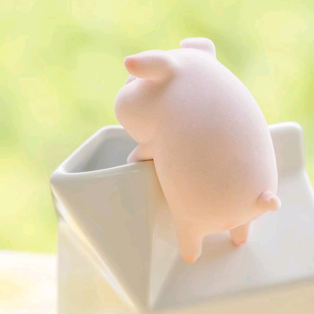 一只玹玹仔（永劫忠诚）