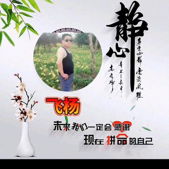 🐉孤单飞扬224