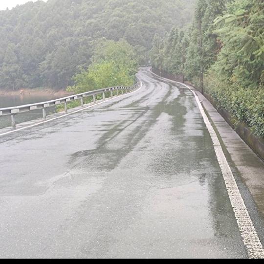 糊涂虫