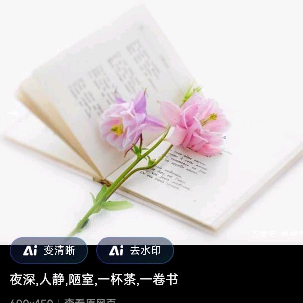 荔荔