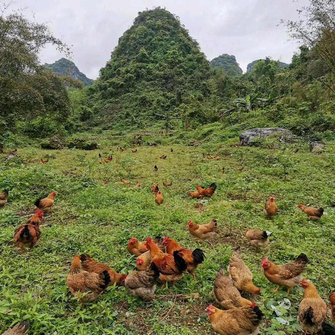 鸿瑞农家土特产