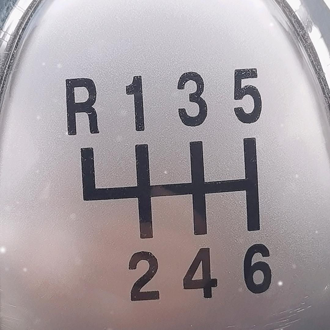 执着的龙哥