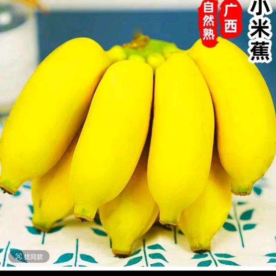 双程鲜果