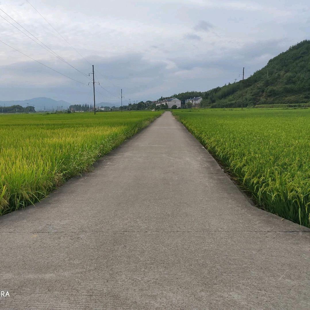 上班打瞌睡。。。