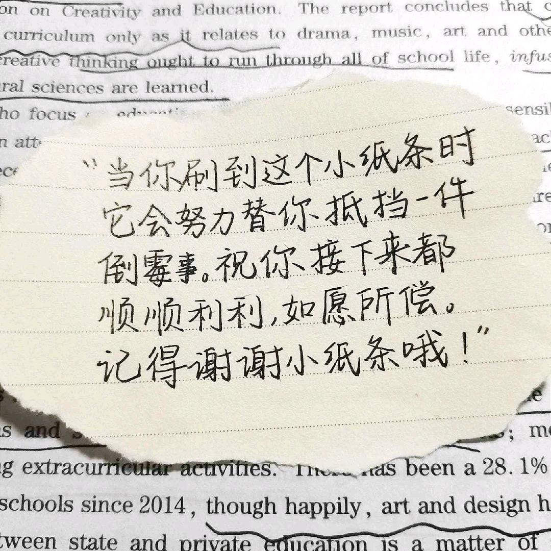 茶多酚糕手