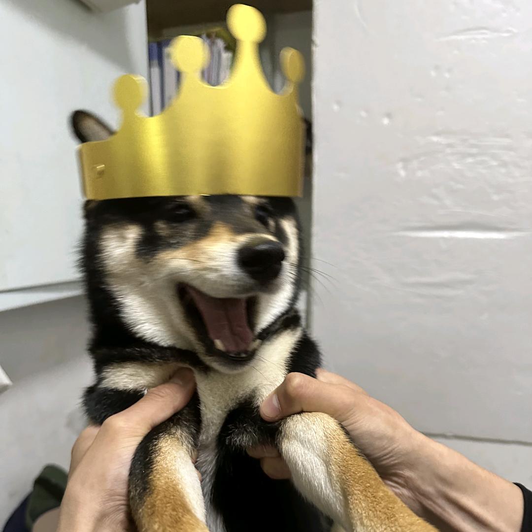 硕隆